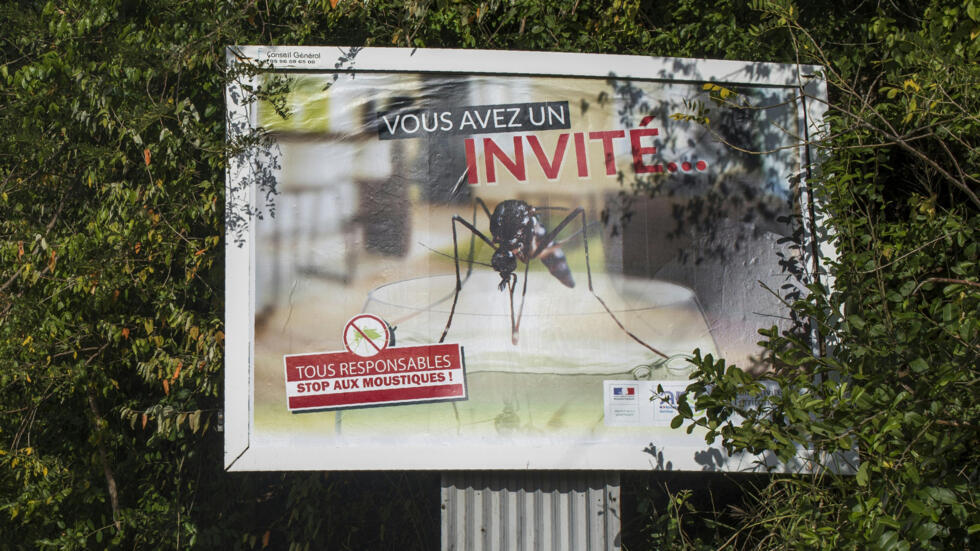 Zika les autorités françaises accusées d'avoir ignoré les experts